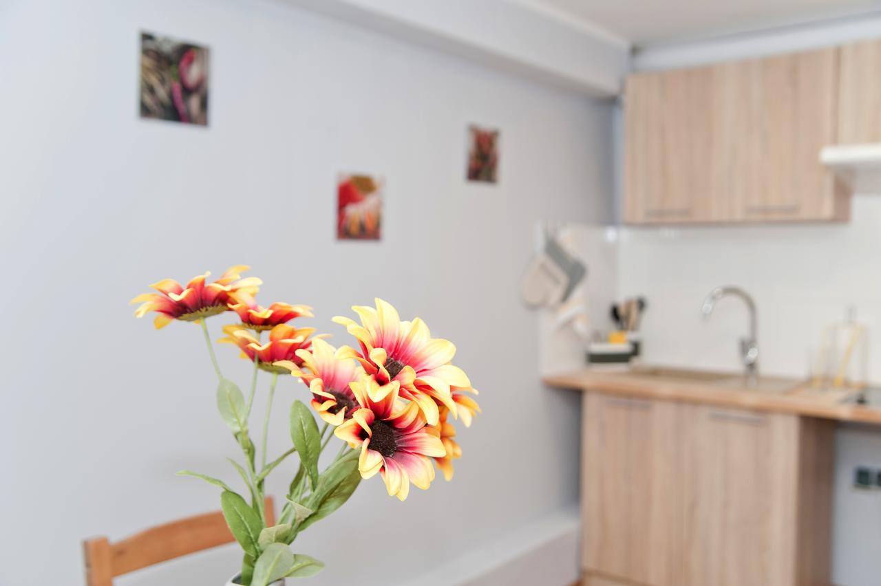 Grey House Hostel Вроцлав Екстериор снимка